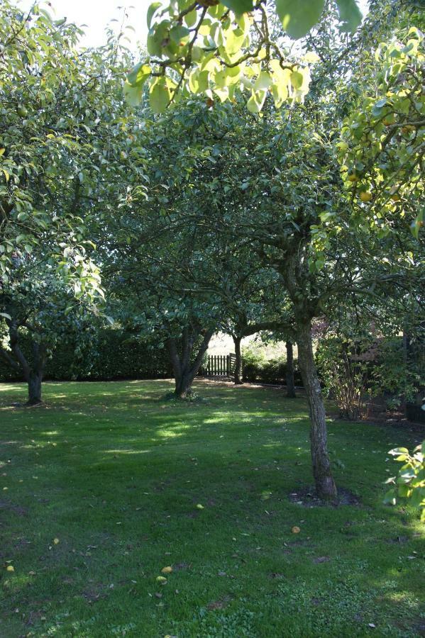 Nummer 49 Driewegen Exterior photo